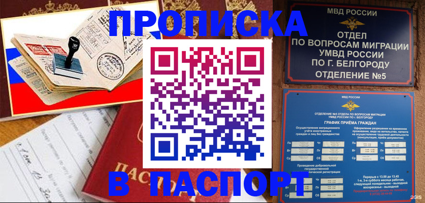 купить прописку в Навашино